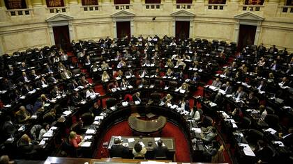 Con 135 votos positivos, 50 negativos y tres abstenciones, la iniciativa recibió media sanción en Diputados