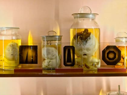 Con 153 ejemplares impresionantes, la sección de malformaciones fetales también fue intervenida por La Padula, con una serie de geometrías