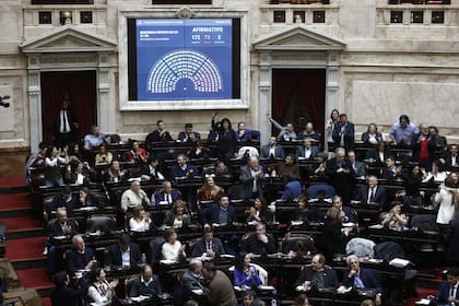 Con 172 apoyos, 73 rechazos y dos abstenciones, Diputados insistió en agosto del año pasado con la emergencia en discapacidad