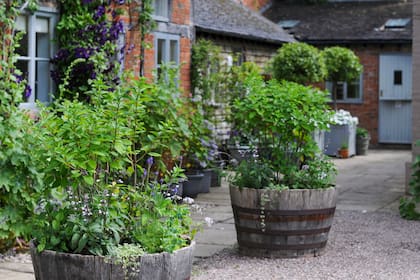 Con algo de ingenio y macetas bien pensadas, se cambió el aspecto de pasillo gris