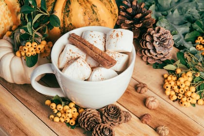 Con azúcar o maicena los malvaviscos pueden estar frescos y no se volverán pegajosos (Pexels/YlaniteKoppens)