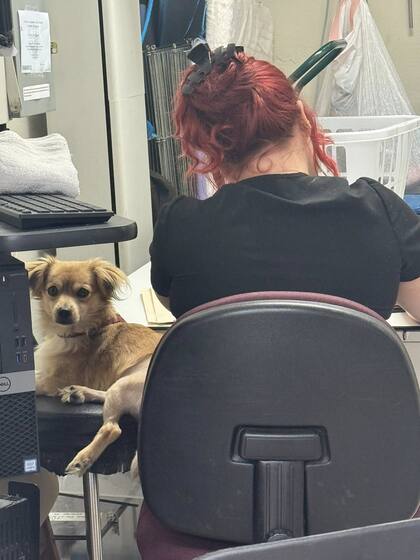 Con Bella, la médica veterinaria que lo cuidó día y noche mientras se recuperaba.