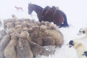 El fantasma de “La Nevada del Siglo” revivió un miedo de los productores de Santa Cruz