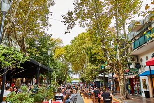 Con calles pintorescas, arboledas frondosas y arquitectura, Villa Devoto se está transformando también en un nuevo polo gastronómico y de diseño