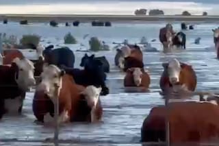 Cayeron hasta 200 mm en seis horas, una región bonaerense colapsó y temen otra supertormenta