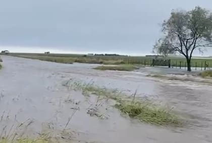 Con caminos anegados y suelos saturados, productores alertan por demoras en la recolección y un pronóstico que anticipa más tormentas