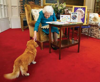 Con Candy, su Dorgy (cruza de Corgi con Daschund), mientras repasaba una exhibición de recuerdos de sus Jubileos de Oro y Platino en el Oak Room del castillo de Windsor, en febrero de 2022. 