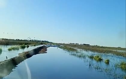 Con cansancio de quien ya vio demasiado, Passerini deja una frase que resume su desvelo: “Lo que más duele es que no nos registren”