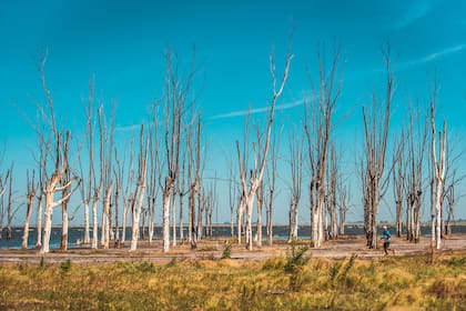 Villa Epecuén supo ser uno de los principales centros turísticos del país