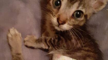 Con dos meses de vida, cuando llegó a la casa de Valeria.