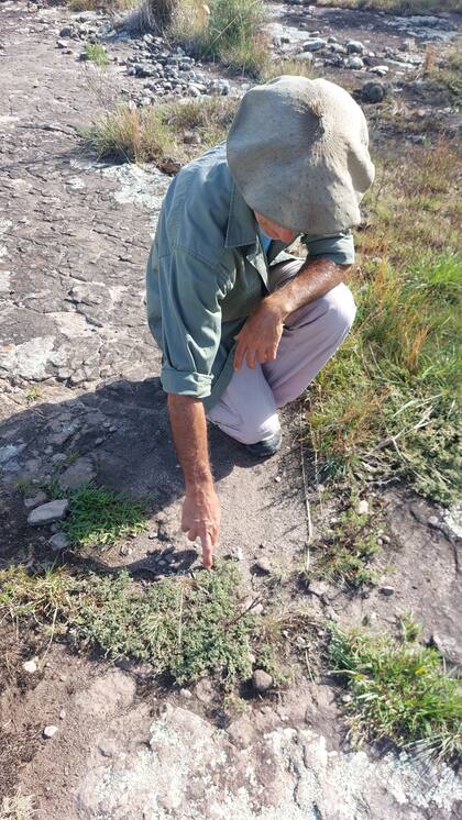 Con el apoyo de biólogos de la Universidad Nacional de Mar del Plata, en Paititi fueron identificando las especies de flora y fauna que habitan el lugar.