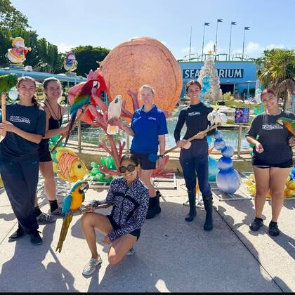 Con el cierre del Miami Seaquarium, los animales serán reubicados en un nuevo hogar