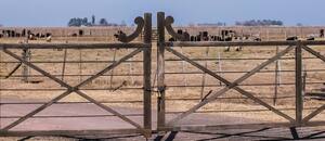 Se vienen cambios en tierras, bosques y el final de una polémica prohibición