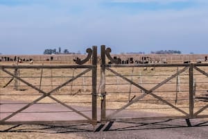 Proponen cambios en tierras, bosques y el final de una polémica prohibición