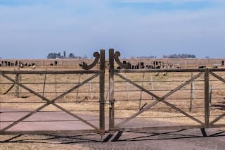 Se vienen cambios en tierras, bosques y el final de una polémica prohibición