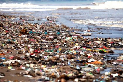 Con el ecocidio, la idea es responsabilizar penalmente e individualmente a quienes hagan daño. Tiene que haber medidas de prevención para que esto no ocurra y, si es que ocurre, te tienes que ir a la cárcel.