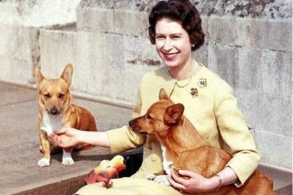 Con el fallecimiento de Vulcan, solo queda Candy como mascota que hará compañía a la reina por estos días