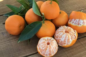 Mandarina: una fruta para aprovechar hasta la cáscara