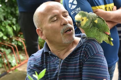 Con el loro a las urnas en la misma escuela de Manzanares, partido de Pilar, donde votó Axel Kicillof