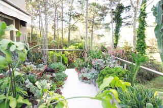 Una espectacular colección de cactus y suculentas, protagonista de una terraza en la costa atlántica