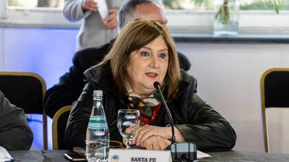 Con el método de “avance continuo”, anunciado por la ministra de Educación provincial, Adriana Cantero, los estudiantes podrán pasar de año y recuperar las materias desaprobadas del curso anterior