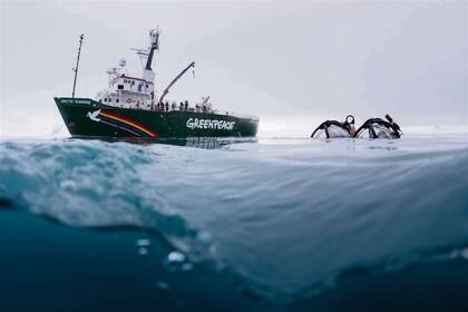Con el minisubmarino, que lleva el Artic Sunrise, explorarán la rica fauna marina de la Antártida
