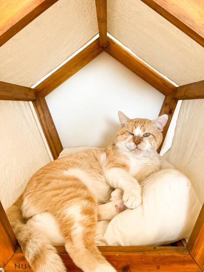 Con el paso del tiempo, el semblante de Boris fue cambiando.