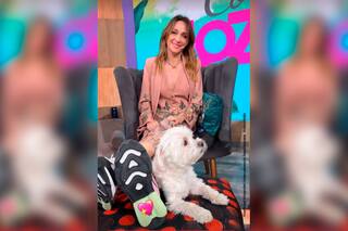 Verónica Lozano: entre aplausos, banquitos y bromas, volvió al piso de su programa