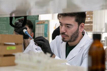 Con el proyecto, se busca bajar los costos de las investigaciones biomédicas