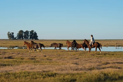 "Con el tiempo fui perfeccionando mi manera de andar a caballo: Andrés me decía que tenía que aprender a montar sin estribos, más al estilo gaucho, sólo con el recado. ¡Aprendí y me encanta!", cuenta Dafne.