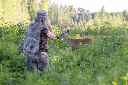 Con el trabajo de concientización empezaron de a poco a aparecer ciervos en lugares donde antes no había