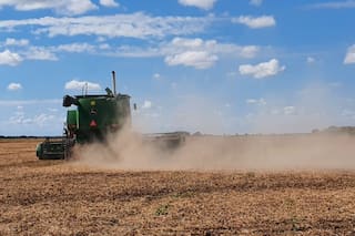 Faltante de gasoil: el campo y su gente, parte de la solución