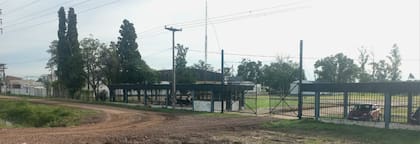 Con esta expansión, Schiffo planea incorporar a 400 nuevos operarios de manera directa y alrededor de 1000 puestos de trabajo entre indirectos y tercerizados