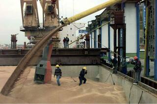 Granos: de un vertiginoso 2022 a un desafiante 2023