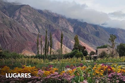Con estas distinciones, Argentina suma un total de ocho localidades en la red de Naciones Unidas