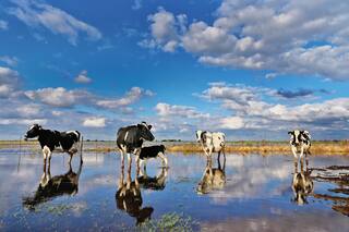 Este es el nuevo clima