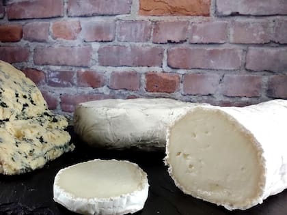 Con forma de tronco, el bûche de cabra (bûche significa tronco en francés), es un queso de masa compacta.