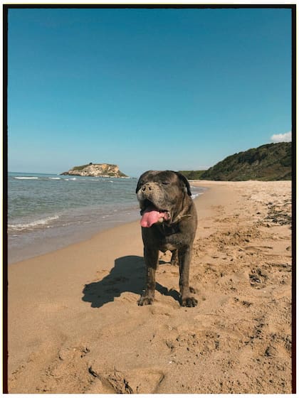 Con fotos de su perro, Mauro desmintió los rumores de que su perro estaría sufriendo bajo sus cuidados