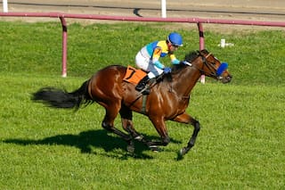 El Pellegrini: en la carrera que todos desean ganar, San Isidro despide a Falero