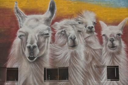 Con gigantescos murales, empiezan a revitalizar el puerto arenero