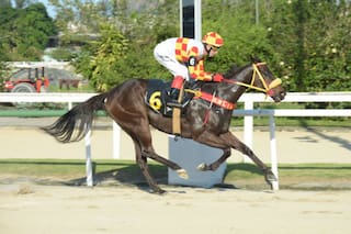Proeza: el jockey voraz que llevó su increíble récord hasta los 13.000 triunfos