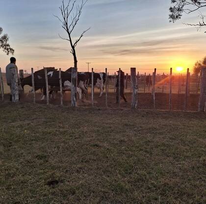 Con gran pesar, le pidió perdón a su padre, por “el sacrificio que hizo”, sin poder ella continuar con el legado