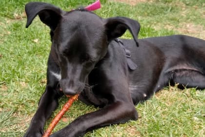 Con Kiwi, Florencia saldó una cuenta pendiente en su vida."Me llenó el alma", asegura