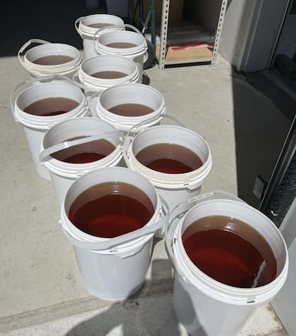 Con la ayuda de un equipo canino y una inspección física, descubrieron 461 kg del insecticida Amitraz