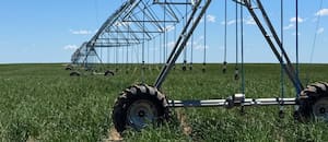 Ya con menos IVA en la energía y nuevos incentivos, en el agro esperan que suba la superficie bajo riego