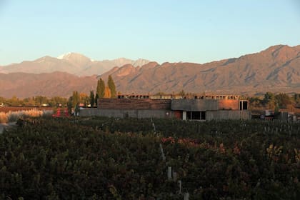 Con la Cordillera de Los Andes de fondo, el establecimiento está ubicado en el distrito Las Compuertas, en Luján de Cuyo