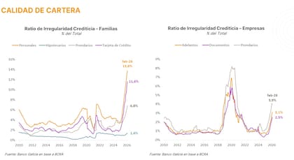 Con la irregularidad crediticia en hogares en el 11,5% —casi cinco veces más que en octubre de 2024—, los bancos volcaron la liquidez extra hacia las licitaciones del Tesoro en lugar de prestarla a las familias, alejando la recuperación del consumo