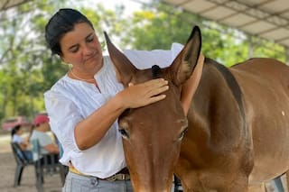 Los dos animales históricamente olvidados que son furor por sus propiedades muy especiales
