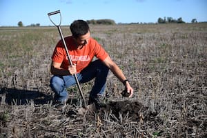 Se abrió la puerta a una revancha en la zona donde se vivió un desastre