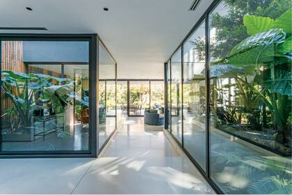 Con la premisa de proyectar una casa donde interior y exterior fueran conceptos flexibles e integrados, el arquitecto Juan Carosi planteó un esquema de “cajitas” que se comunican a través de frondosos patios.